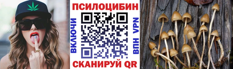 Купить закладки  Краснослободск  Галлюциногенные грибы MAGIC MUSHROOMS 
